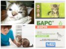 Drops Bars voor kittens