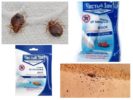Dust Clean House van Bedbugs