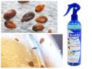 Spray schoon huis van insecten