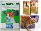 Gocce delle pulci per gatti