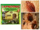 Karbofos van bugs-1