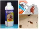Oplossing voor bugs van bugs