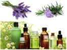 Rosmarin og lavendel