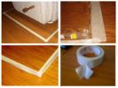 Bedbug lente
