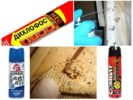 Mga Bedbug Sprays