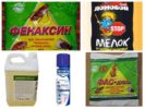 Flea Remedies-1