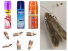Moth Aerosols