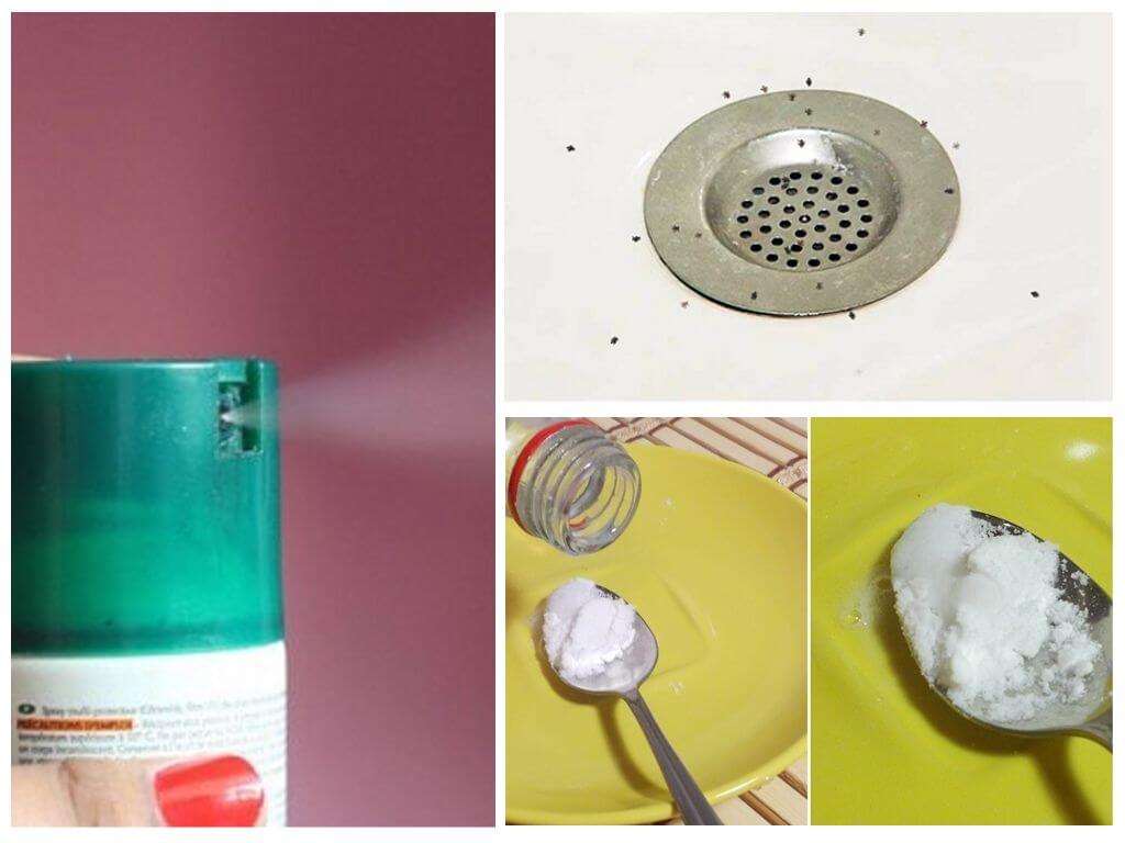 Hoe muggen in een appartement te verwijderen