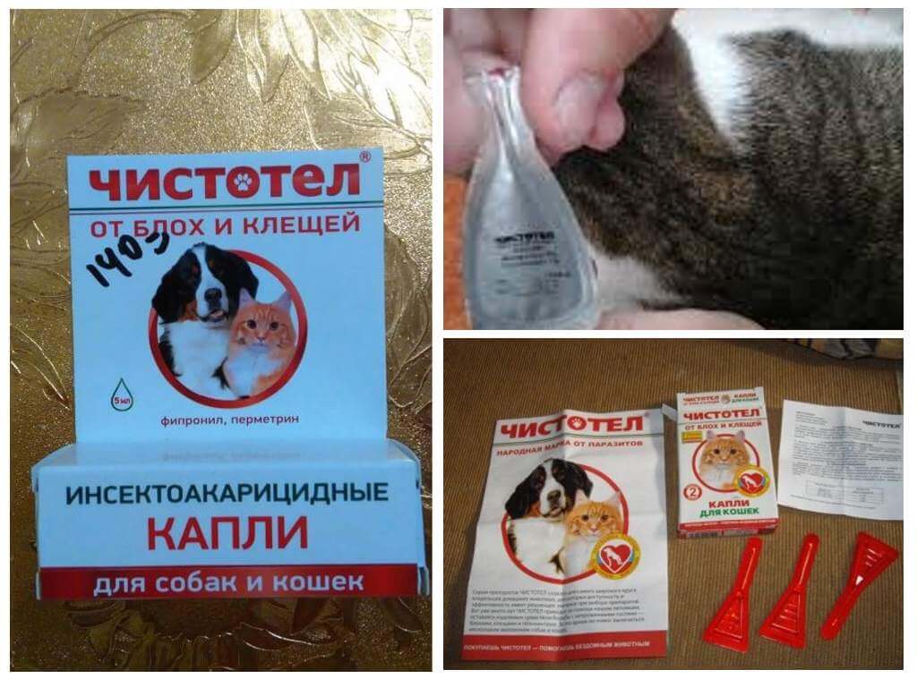 Kirppaturin tiput kissoille ja koirille
