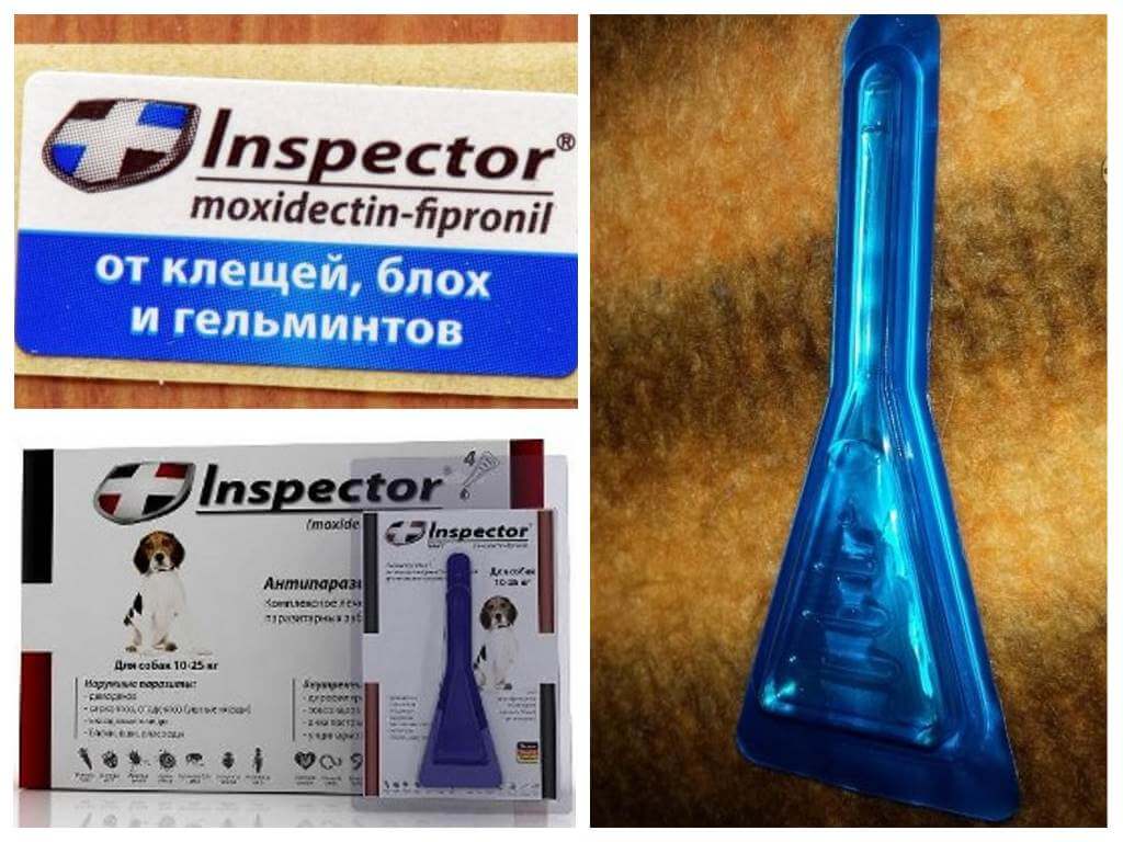 Drops Inspector para sa mga aso mula sa mga pulgas
