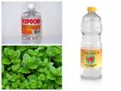 Mga remedyo ng katutubong para sa mga pulgas-1