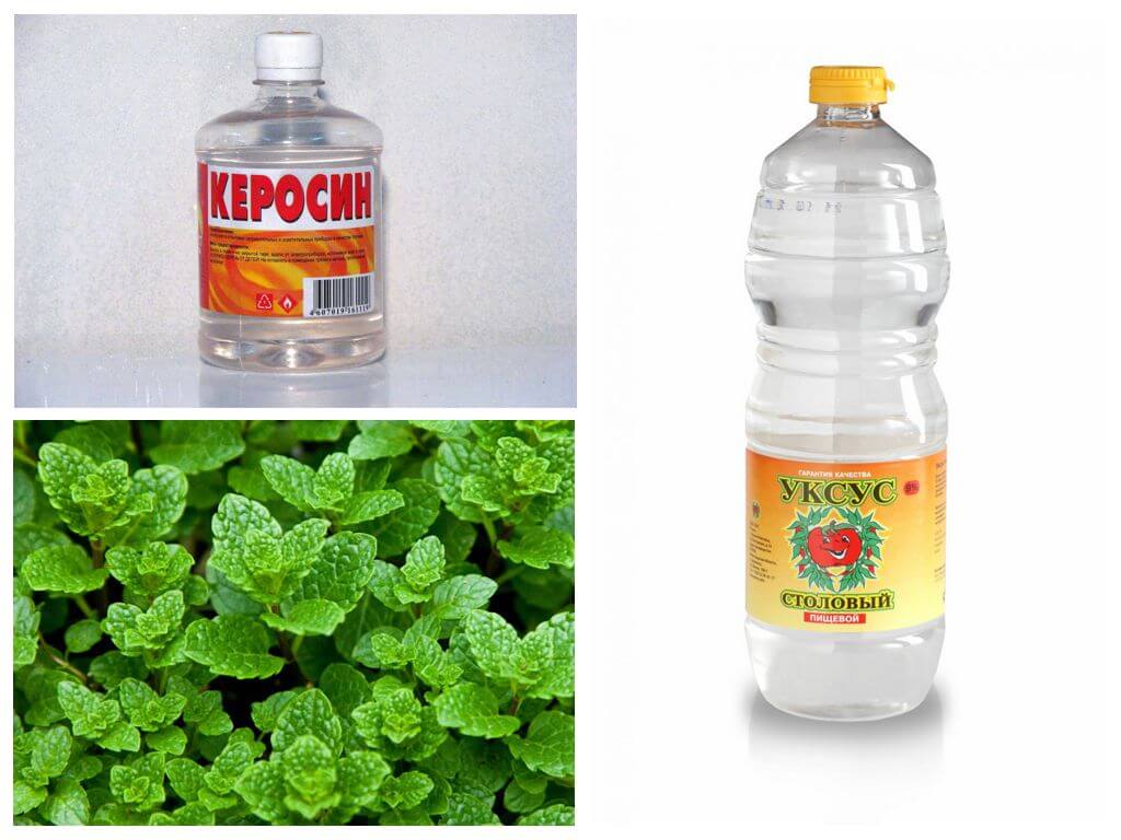 Ang natatakot ng mga pulgas: tubig, bleach, suka, kerosene, atbp.