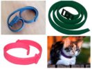 Mga collars mula sa fleas-2