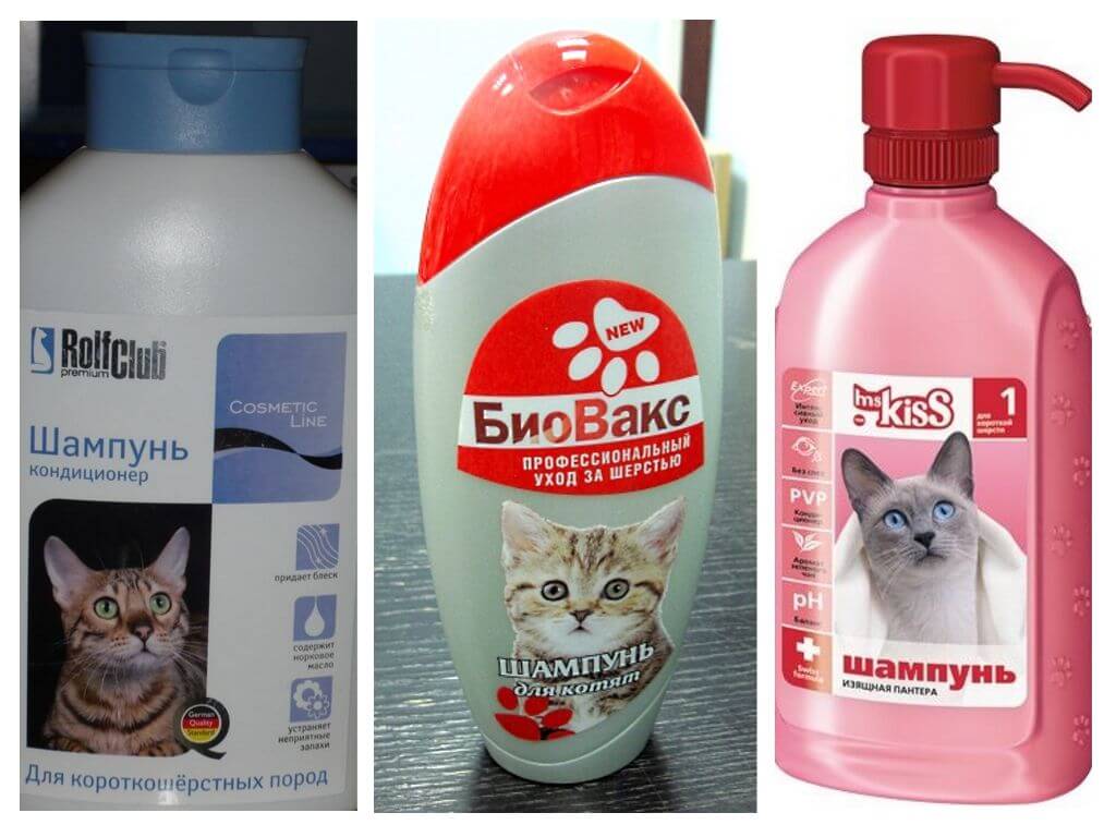 Flea shampoos para sa mga kuting at pusa