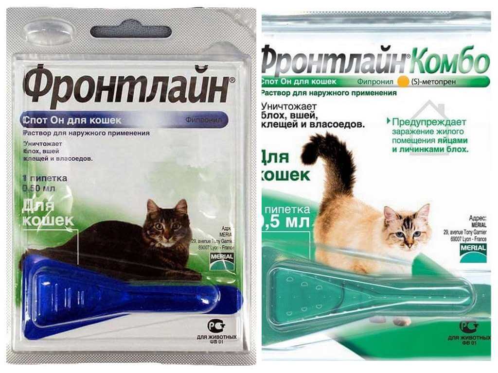 Patak ng Frontline mula sa mga pulgas para sa mga pusa