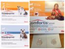 Comfortis