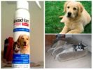 Behandeling met Blokhnatom