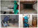 Pagproseso ng Basement
