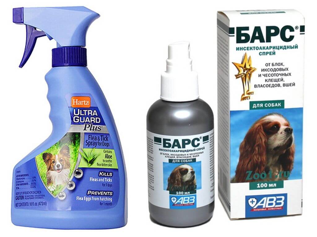 Pinakamahusay na flea sprays para sa mga aso