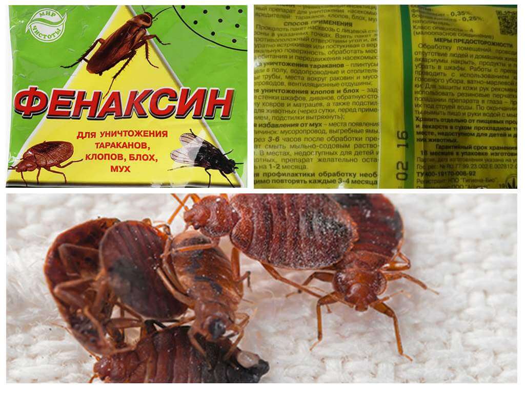 Phenaxin Bug -jauhe