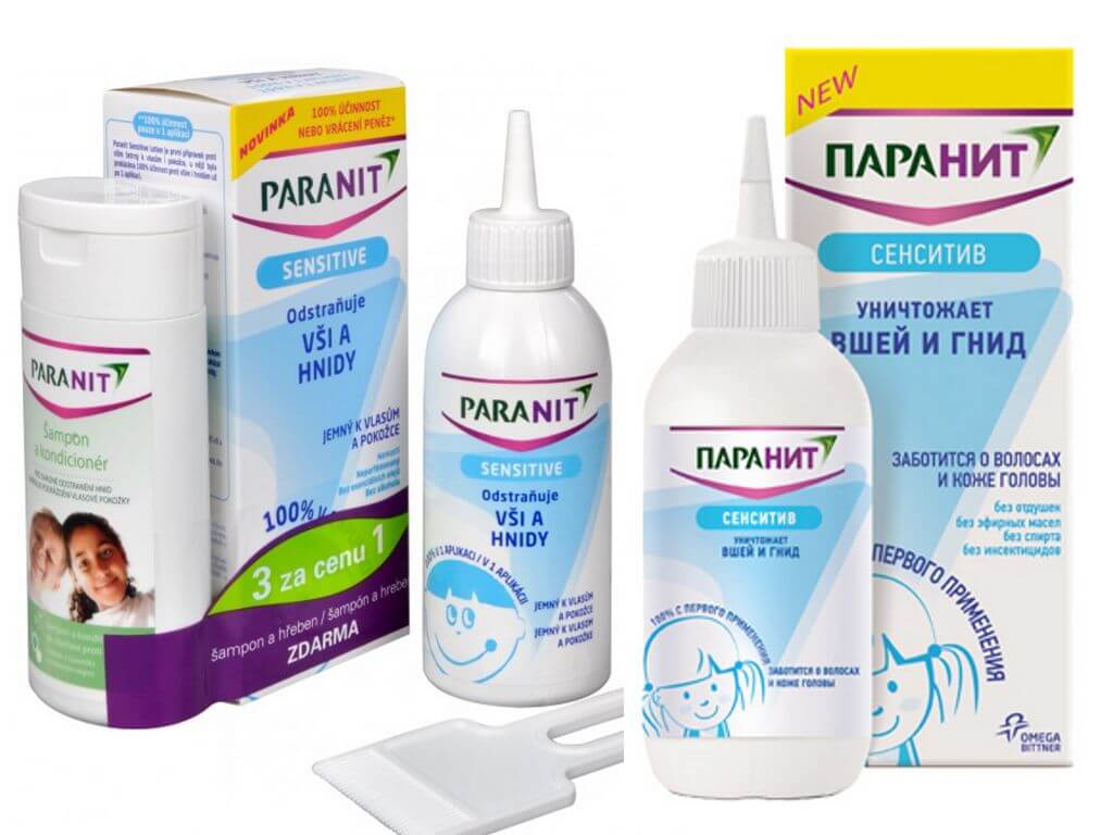 De bedste retsmidler mod pediculosis til børn og voksne