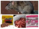 Prodotti chimici per ratti