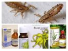 Lice Medication