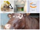 Lice Medication