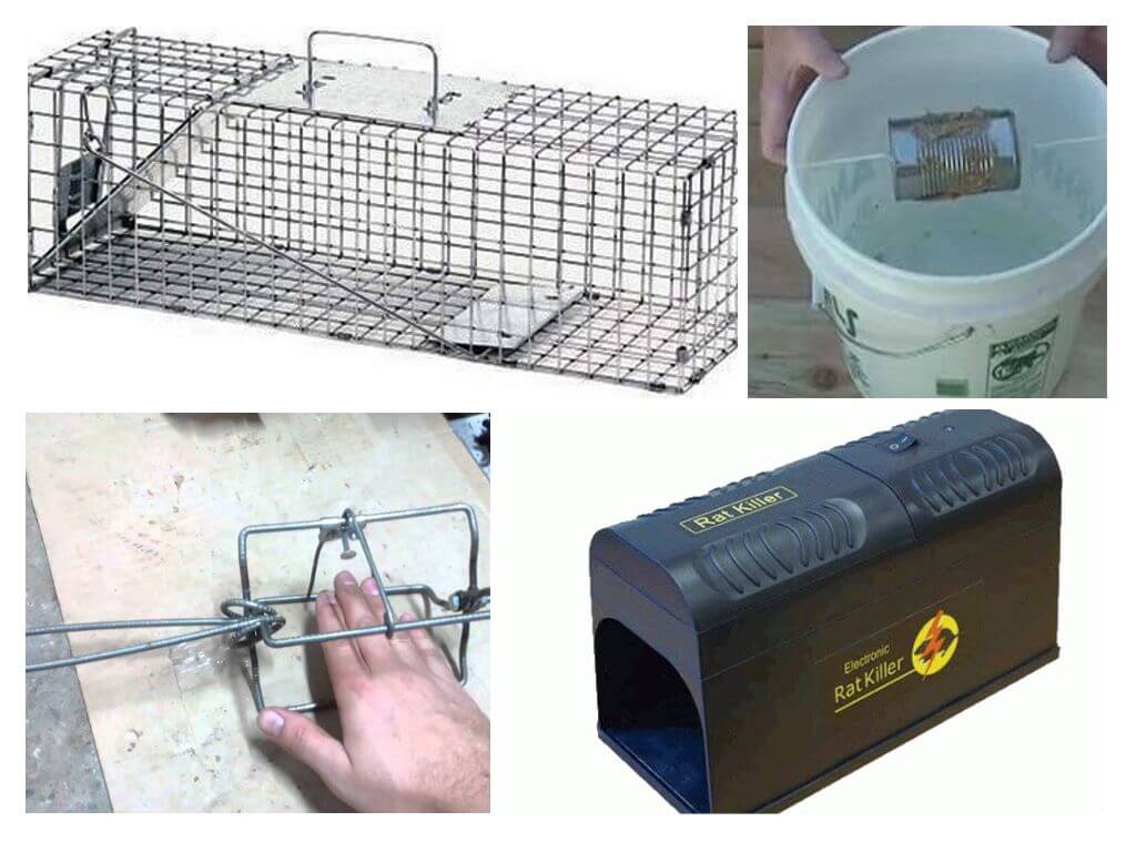 DIY rottefælde