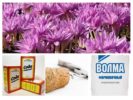 Folkmedicijnen