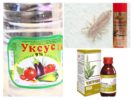 Mga alternatibong pamamaraan para sa pediculosis