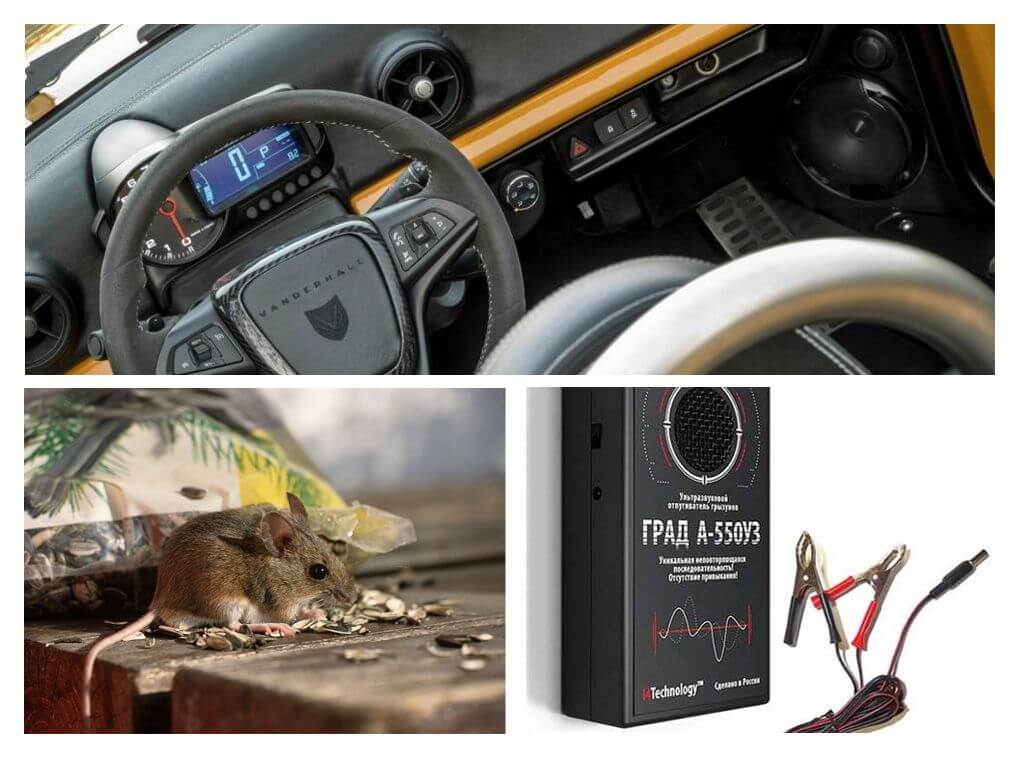 Car rat at reporter ng mouse