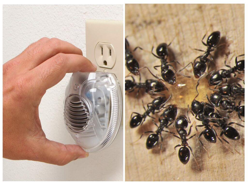 Effectieve Ultrasonic Ant Repellers