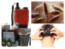Anti-pediculosis na estilo
