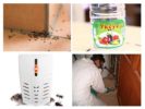 Manieren om insecten te doden