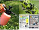 Brugen af ​​pesticider