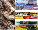 Ant gel