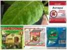 Mga Pesticides