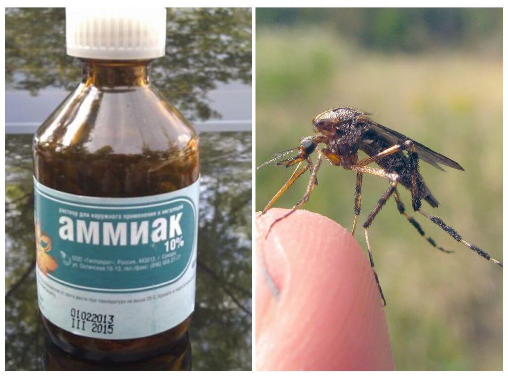 Kvapalný amoniak z komárov