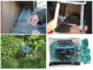 Kontrol ng Rodent