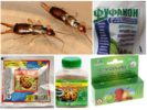Earwig Chemicals