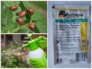 Actar Remedie voor Coloradokever