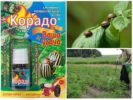 Corado van de Coloradokever