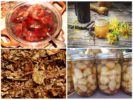 Infusies en afkooksels van de Coloradokever