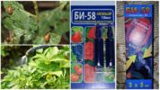 Remedie Bi 58 tegen de Coloradokever