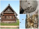 Mehiläiset puutalossa