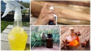 Oli aromatici dalle zanzare