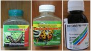 Mga ahente ng biolohiko laban sa mga uod