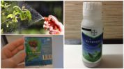Mga Chemical Laban sa Mga Caterpillars
