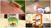 Folkemiddel mod myggestik